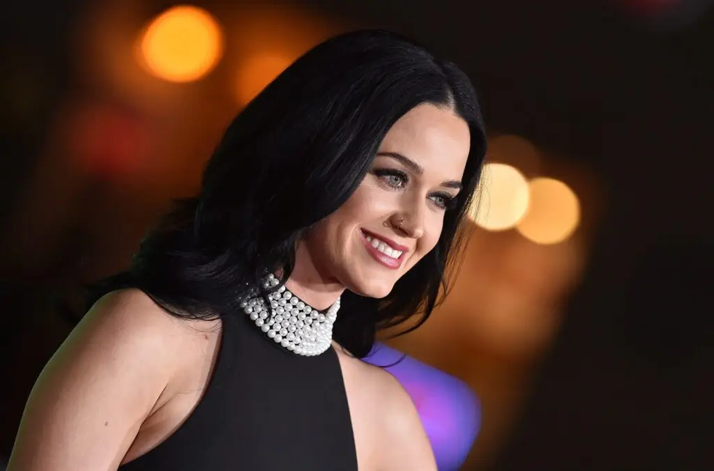 Why Katy Perry Is the Internet Chick of Our Generation