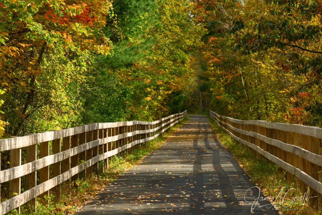 Canoeing through Adirondack Park during New York Autumn Beauty with Mid Breaker Travel Guides,Colorful fall foliage reflecting on Adirondack Lake in Upstate New York,Paddler exploring New York Autumn Beauty by canoe in the Adirondacks,Golden autumn trees surrounding calm waters in Adirondack Park,Mid Breaker Travel Guides showcasing a canoe journey through Upstate New York,Horse-drawn carriage ride to Newcomb Lake in the Adirondacks,Morning mist rising over Adirondack Lake during New York Autumn Beauty,Traveler camping beside a peaceful lake in the Adirondack backcountry,Sunset reflecting on tranquil Adirondack waters with fall foliage
