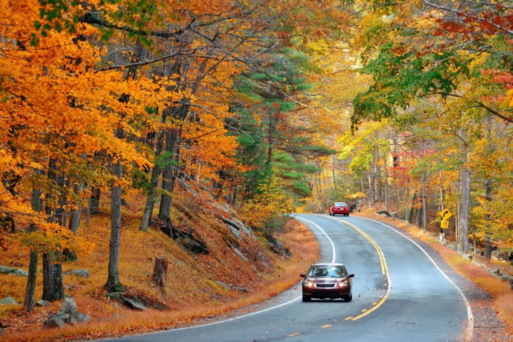 Canoeing through Adirondack Park during New York Autumn Beauty with Mid Breaker Travel Guides,Colorful fall foliage reflecting on Adirondack Lake in Upstate New York,Paddler exploring New York Autumn Beauty by canoe in the Adirondacks,Golden autumn trees surrounding calm waters in Adirondack Park,Mid Breaker Travel Guides showcasing a canoe journey through Upstate New York,Horse-drawn carriage ride to Newcomb Lake in the Adirondacks,Morning mist rising over Adirondack Lake during New York Autumn Beauty,Traveler camping beside a peaceful lake in the Adirondack backcountry,Sunset reflecting on tranquil Adirondack waters with fall foliage